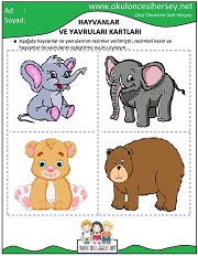 Hayvanlar ve Yavruları Eğitici Kartları